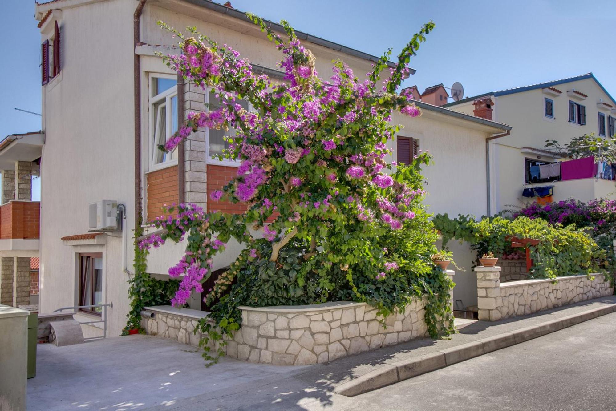 מאלי לוסיניי Apartments Suzana מראה חיצוני תמונה